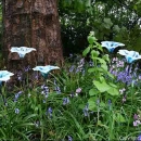 Spirit Flowers: fused glass flowers