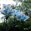 Opal and clear fused glass lilies
