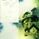 Printed, frosted and enamelled bonded panel